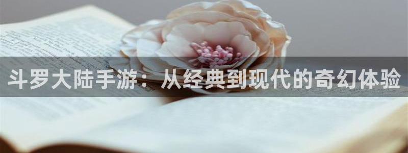 51动漫下载安全