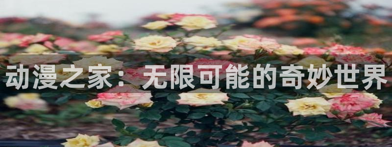 51动漫下载网站：动漫之家：无限可能的奇妙世界