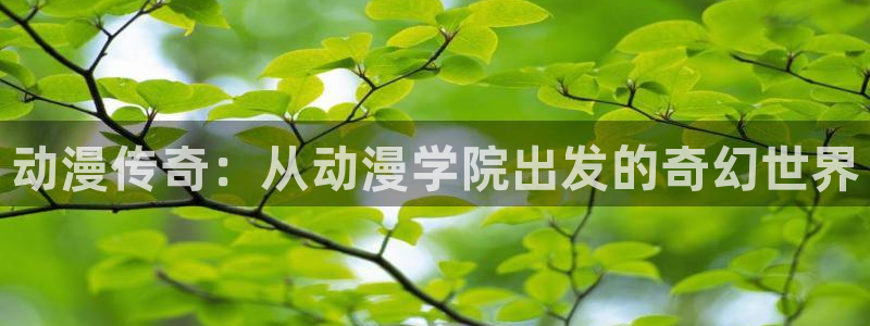 成人51动漫：动漫传奇：从动漫学院出发的奇幻世界